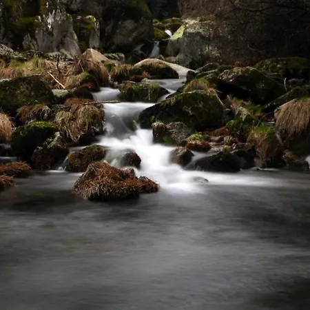 Criativo Do サブゲイロ