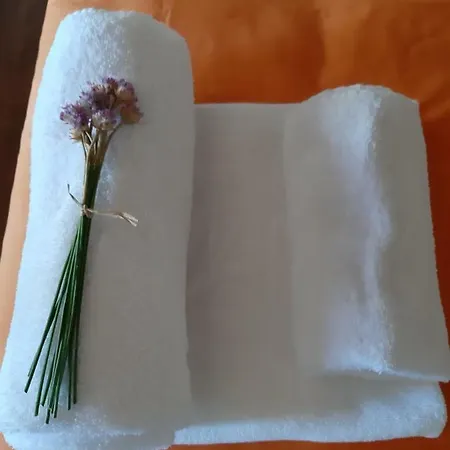 Vandrarhem Criativo Do