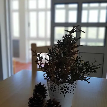 Vandrarhem Criativo Do