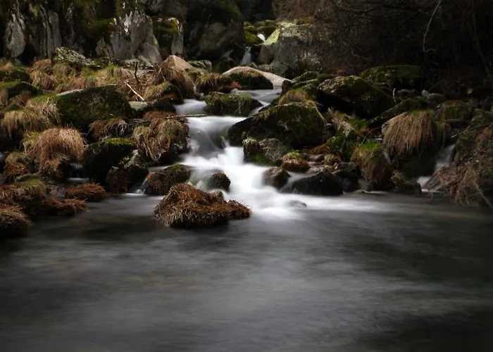 Criativo Do Sabugueiro (Guarda)