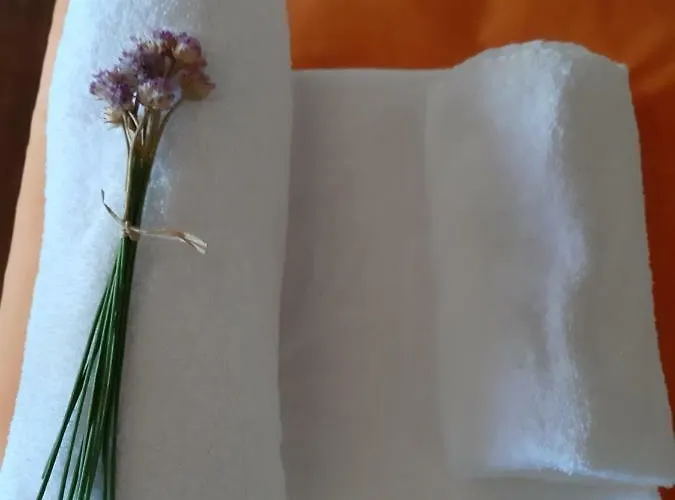 Albergue Criativo Do