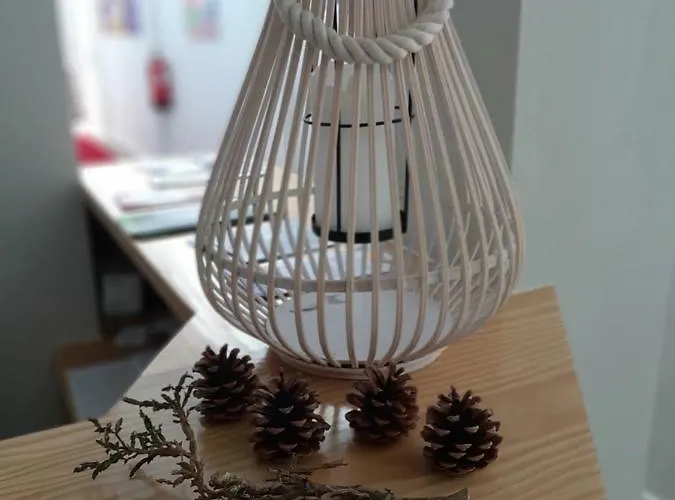 Criativo Do * Sabugueiro (Guarda)