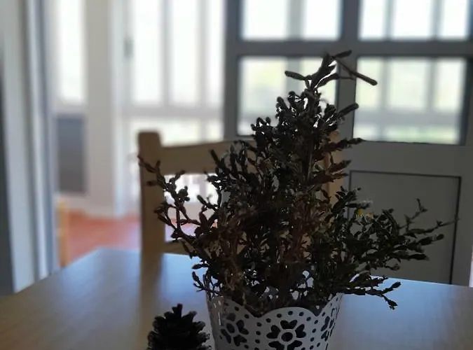 Albergue Criativo Do